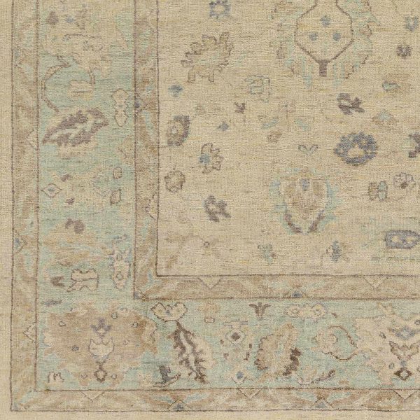 Sample Americus Area Rug on Sale